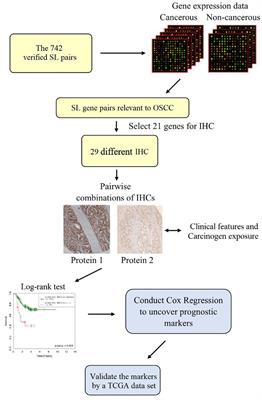 Immunohistochemical Expression of Five Protein Combinations Revealed as Prognostic Markers in Asian Oral Cancer